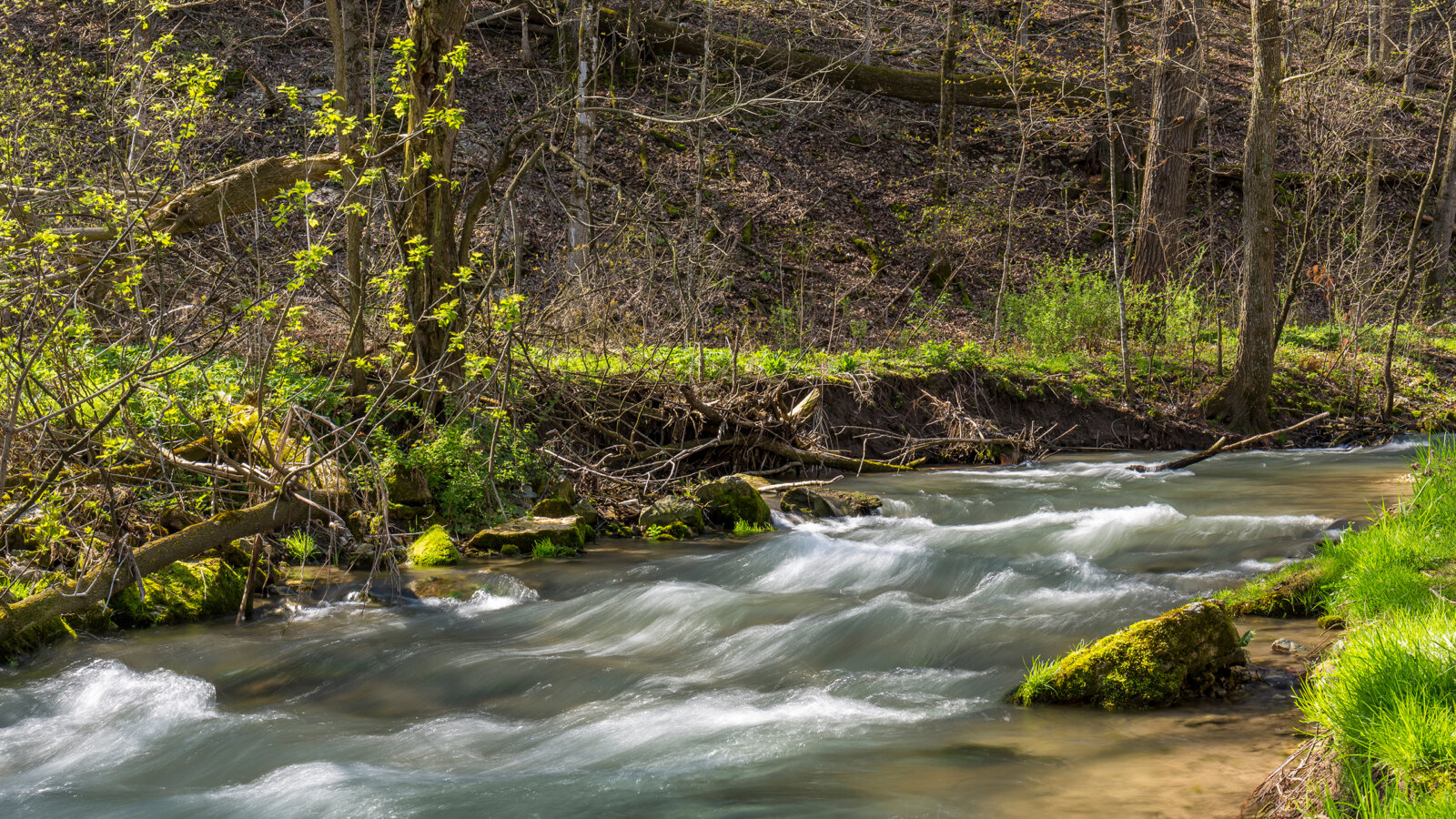 A creek in Iowa. Angela Buck's body was found along a creek bank in Black Hawk County in 1995; Kelly Grant has now been charged with her murder. (Photo: U.S. Fish & Wildlife Service)